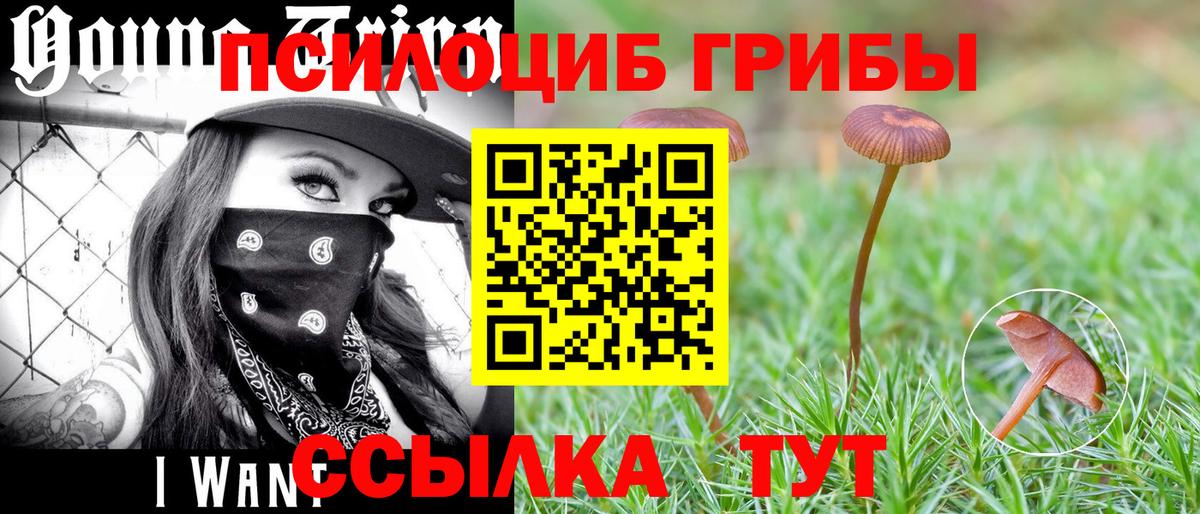 МЕФ   Экстази  МАРИХУАНА  Муром  COCAIN  ТГК  КОКАИН  Гашиш  Вход с VPN 